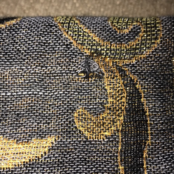 Woman’s Beautiful Paisley Pashmina - Picture 8 of 10